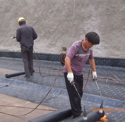 膠南專業防水服務全解析 從公司電話、廠家到工程價格與施工